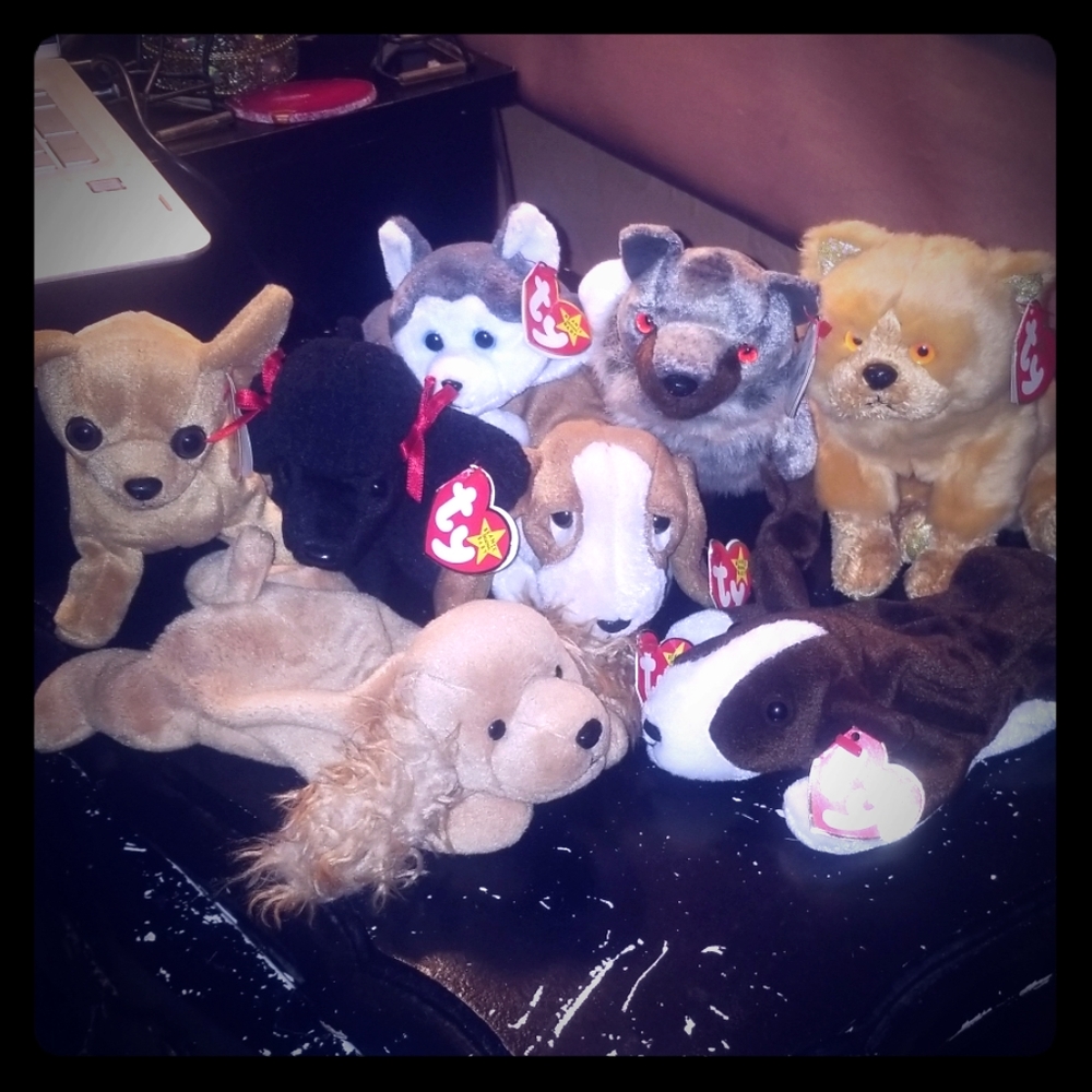 Beanie Baby Bundle